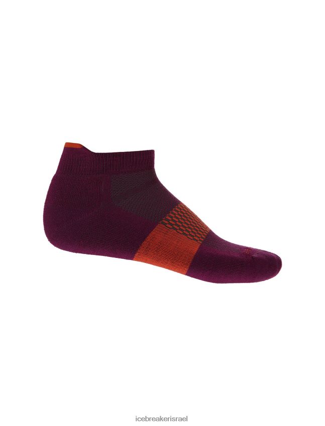 אביזרים Icebreaker גרבי מיקרו מרינו מולטיספורט קלות ללכת ברי / אדמה תוססת גברים 42N8VN281