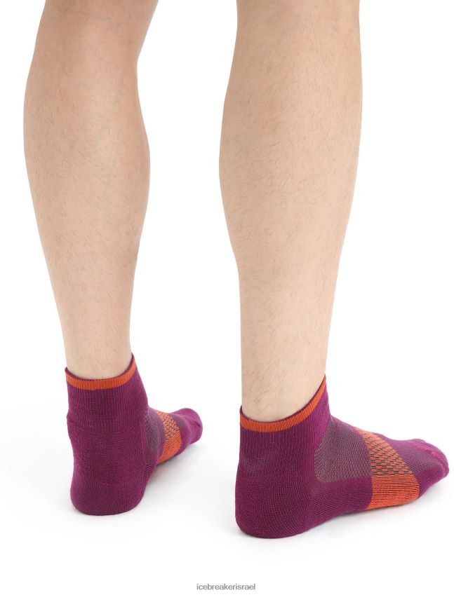 אביזרים Icebreaker גרבי מיני מרינו מולטיספורט קלות ללכת ברי / אדמה תוססת גברים 42N8VN292