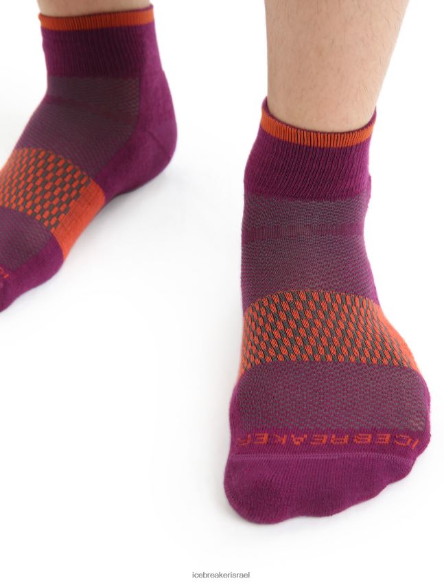 אביזרים Icebreaker גרבי מיני מרינו מולטיספורט קלות ללכת ברי / אדמה תוססת גברים 42N8VN292