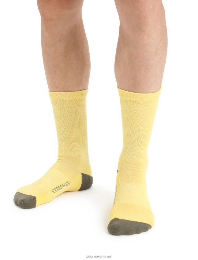 אביזרים Icebreaker גרבי צוות קלות של מרינו לייף סטייל קיץ/לודן גברים 42N8VN295