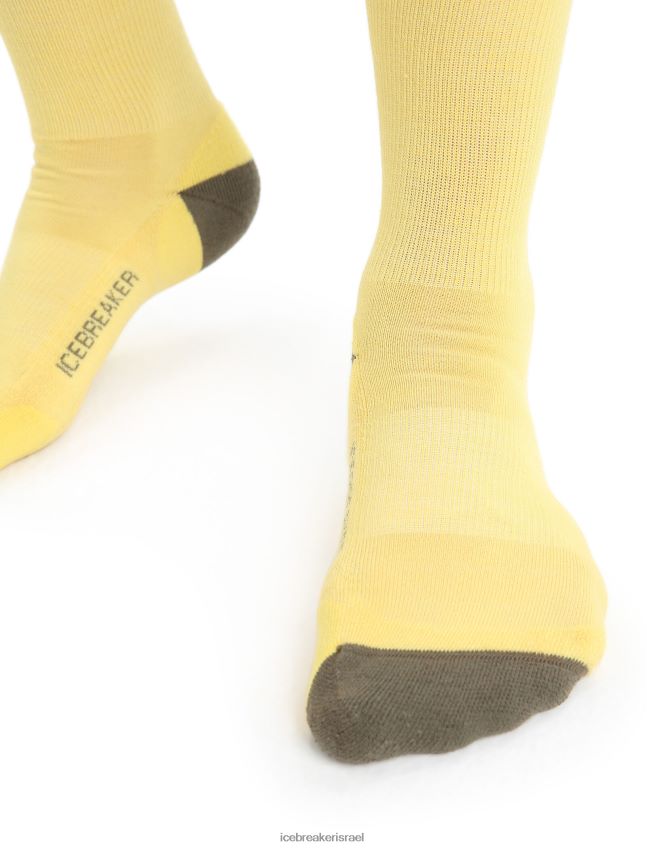 אביזרים Icebreaker גרבי צוות קלות של מרינו לייף סטייל קיץ/לודן גברים 42N8VN295