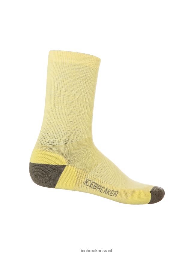 אביזרים Icebreaker גרבי צוות קלות של מרינו לייף סטייל קיץ/לודן גברים 42N8VN295