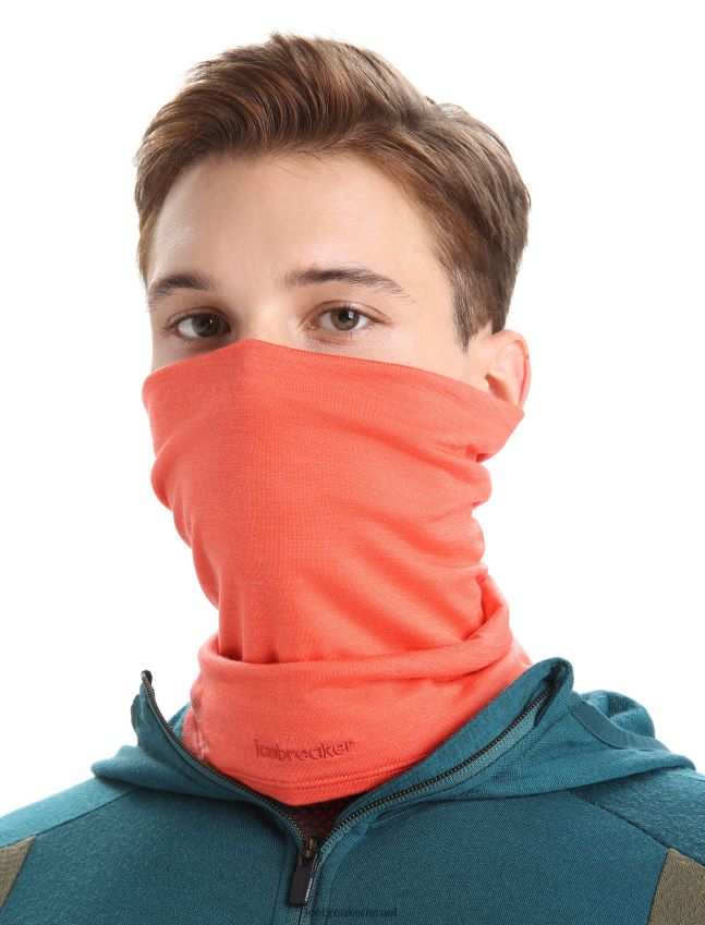 אביזרים Icebreaker מצנח מרינו פלקסי מגניב לייט אדמה תוססת לִשְׁנֵי הַמִינִים 42N8VN326