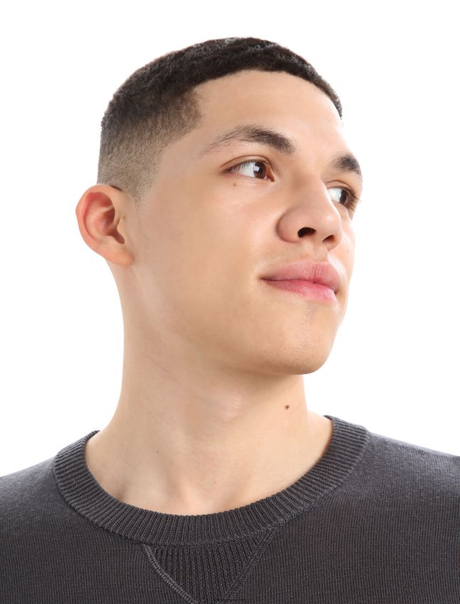 הַלבָּשָׁה Icebreaker סווטשירט סוודר מרינו נובה מגניב-לייט מוּנסוֹן גברים 42N8VN425