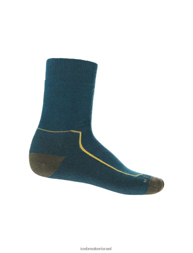 אביזרים Icebreaker מרינו hike+ גרבי צוות בינוניות תהילה ירוקה/לודן גברים 42N8VN261
