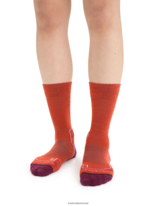 אביזרים Icebreaker מרינו hike+ גרבי צוות קלות אברש אדמה תוסס/גו ברי נשים 42N8VN784