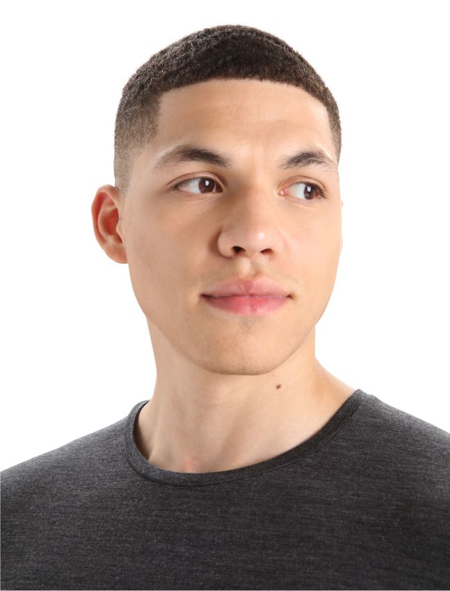 הַלבָּשָׁה Icebreaker חולצת טריקו עם שרוול קצר של merino anatomica סילון אברש גברים 42N8VN128