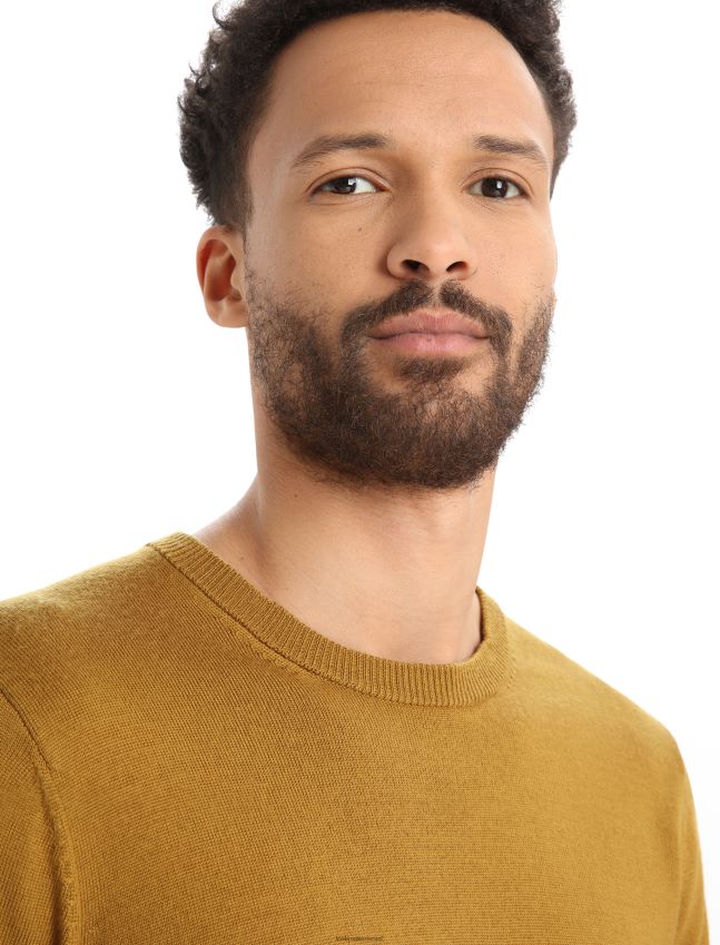 הַלבָּשָׁה Icebreaker סוודר merino shearer crewe צפורן גברים 42N8VN352