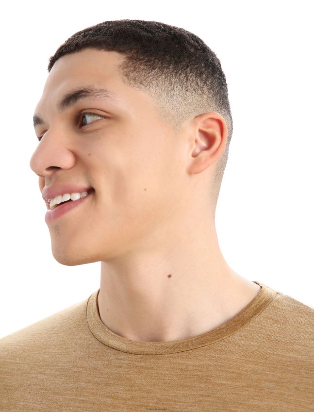 הַלבָּשָׁה Icebreaker חולצת טריקו עם שרוולים קצרים של merino sphere ii ציפורן אברש גברים 42N8VN385