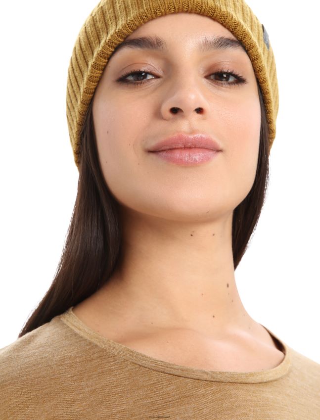 הַלבָּשָׁה Icebreaker חולצת טריקו עם שרוולים ארוכים של merino sphere ii ציפורן אברש נשים 42N8VN900